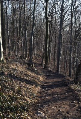 Wanderweg zur Burg Teck2