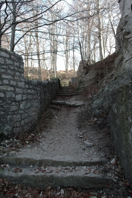 Burgruine Reußenstein10