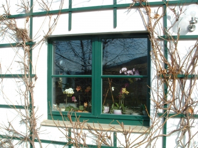Orchideenfenster