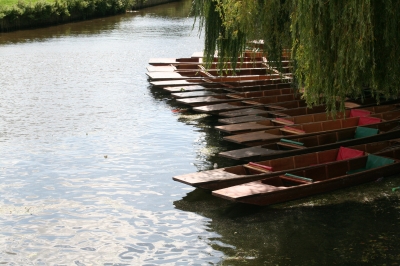 Boote in Cambridge