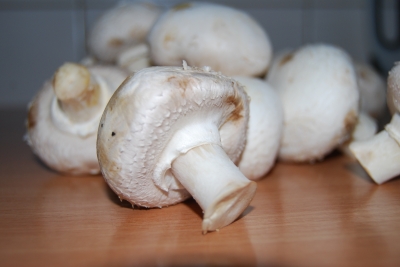 Champignon