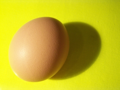 Das Ei des Kolumbus - oder einfach nur ein Ei