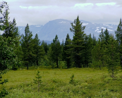 Elchwiese mit Blick nach Jotunheimen/N