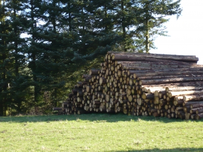 Holzstappel