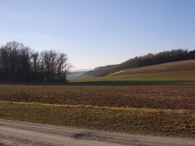 Februar-Spaziergang