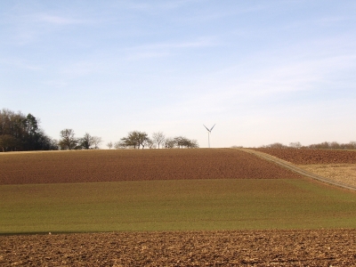 Februar- Spaziergang