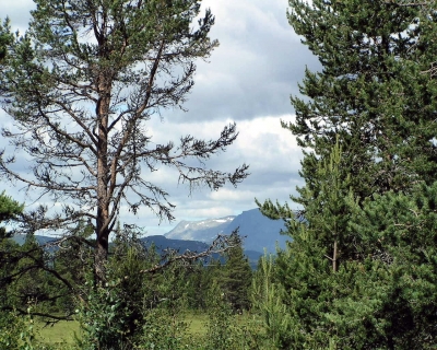 Blick nach Jotunheimen/N