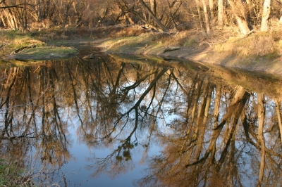 Donauau in Stopfenreuth