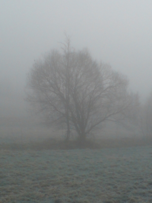 Winter in Hohenmölsen