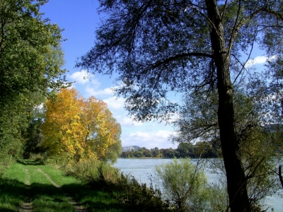 Herbstbeginn an der Donau