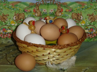 Frohe Ostern 6