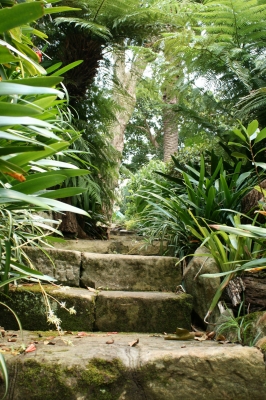 Stufen im botanischen Garten