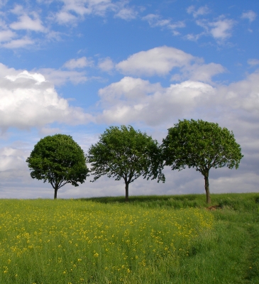 Ausblick auf den Sommer