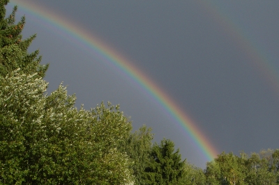 Regenbogen