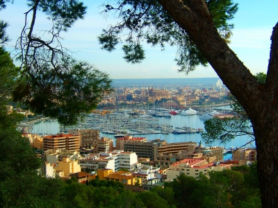 Blick auf Kathedrale von Palma de Mallorca