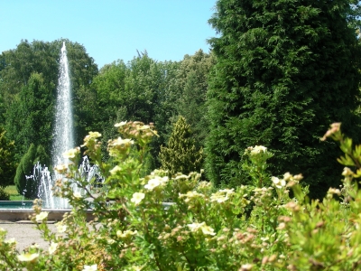Stadtpark in Ilmenau