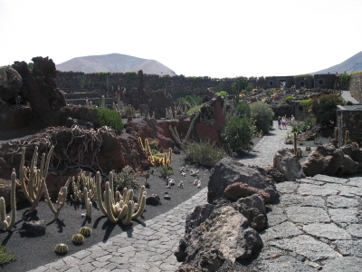 Kakteen-Garten auf Lanzarote