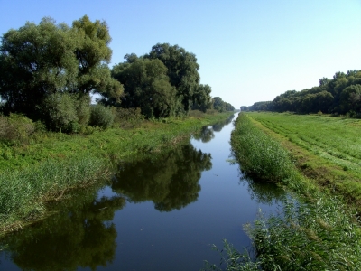 1er Kanal