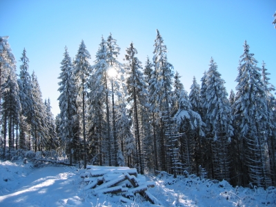 Winterlandschaft2