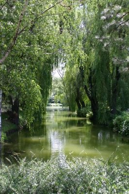 Wasserpark in Wien