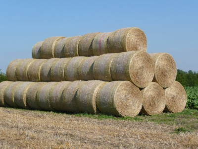 Strohballen