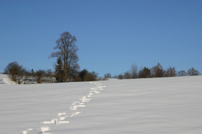 Spuren im Schnee