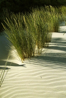 Sand und Wind