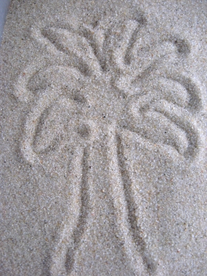 Palme im Sand