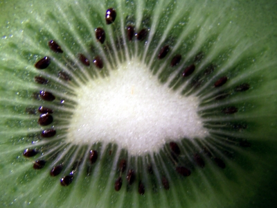 Kiwi - Muster