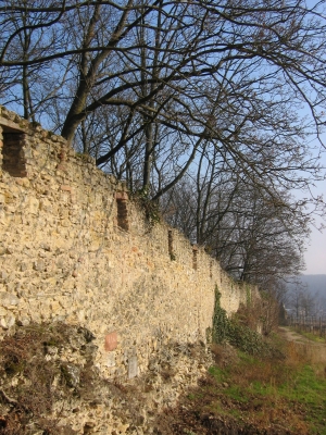 Landskrone Oppenheim   alte Burgmauer