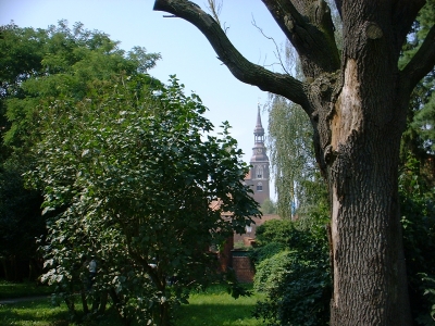 Im Schlosspark Tangermünde