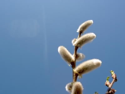 Unter freien Himmel