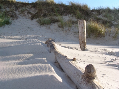 Darßer Strand