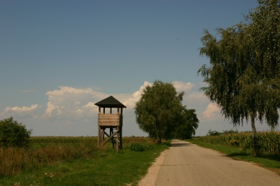 Feldweg im Hanság