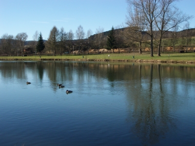 Hammerweiher (2)