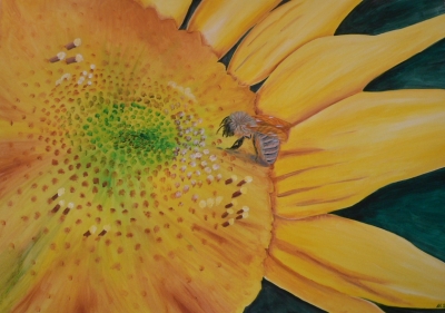 Biene auf Sonnenblume (Acryl)