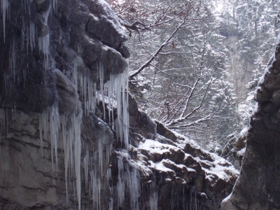 Im Reich des Eiskönigs