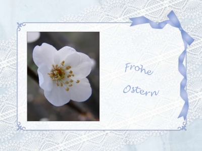 Frohe Ostern