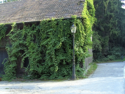 Lüttelforster Mühle Im Schwalmtal 2