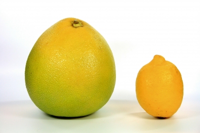 Pomelo und Zitrone
