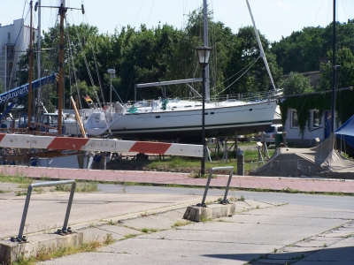 stralsund/  die natur holt sich alles zurück III