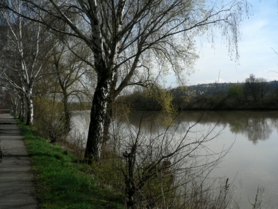 Am Neckar...