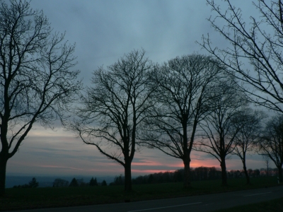 Silhouetten im Abendlicht