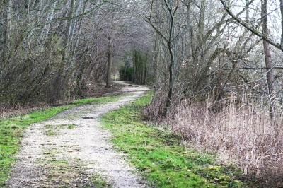 Der Weg ist das Ziel