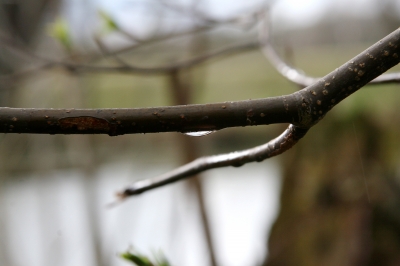 Nach dem Regen