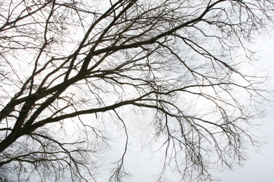 Gegen den Himmel