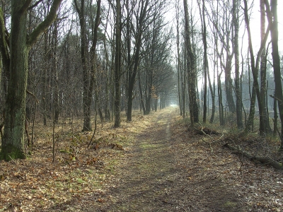 Waldweg 14