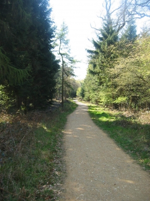 Waldweg 16