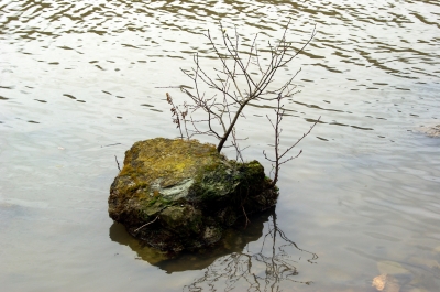 Vorfrühling am Neckar 2