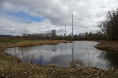 Vorfrühling am Neckar 7